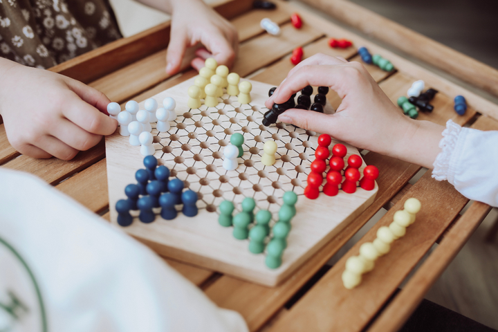 Giocattoli Halma in legno Natureich con figure da gioco / Gioco Montessori per lo sviluppo della logica Apprendimento dei processi Forme Natura Bambini dai 5 anni colorati